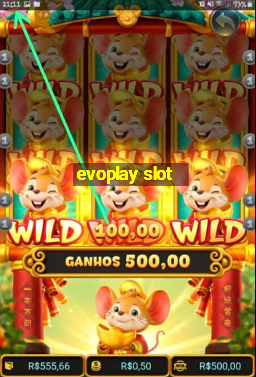 evoplay slot