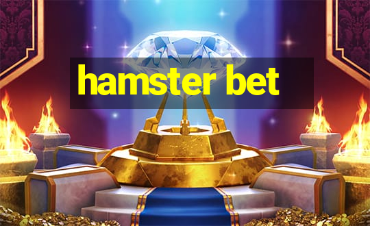 hamster bet