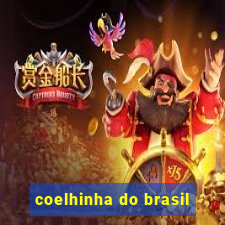 coelhinha do brasil