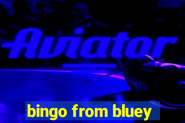 bingo from bluey