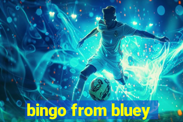 bingo from bluey