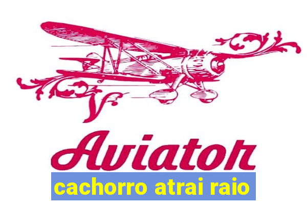 cachorro atrai raio