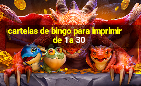 cartelas de bingo para imprimir de 1 a 30