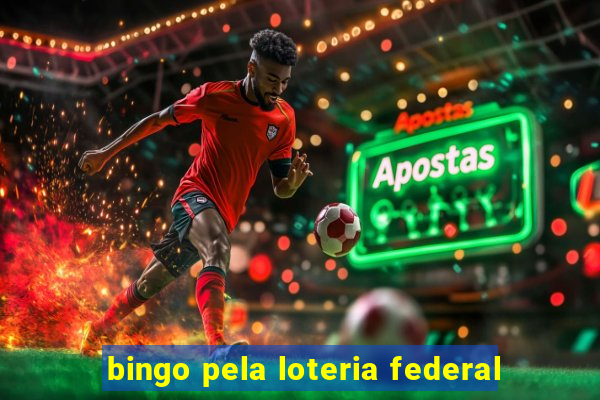 bingo pela loteria federal