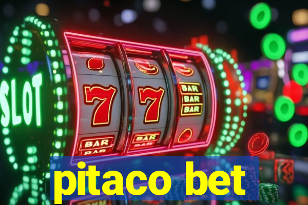 pitaco bet