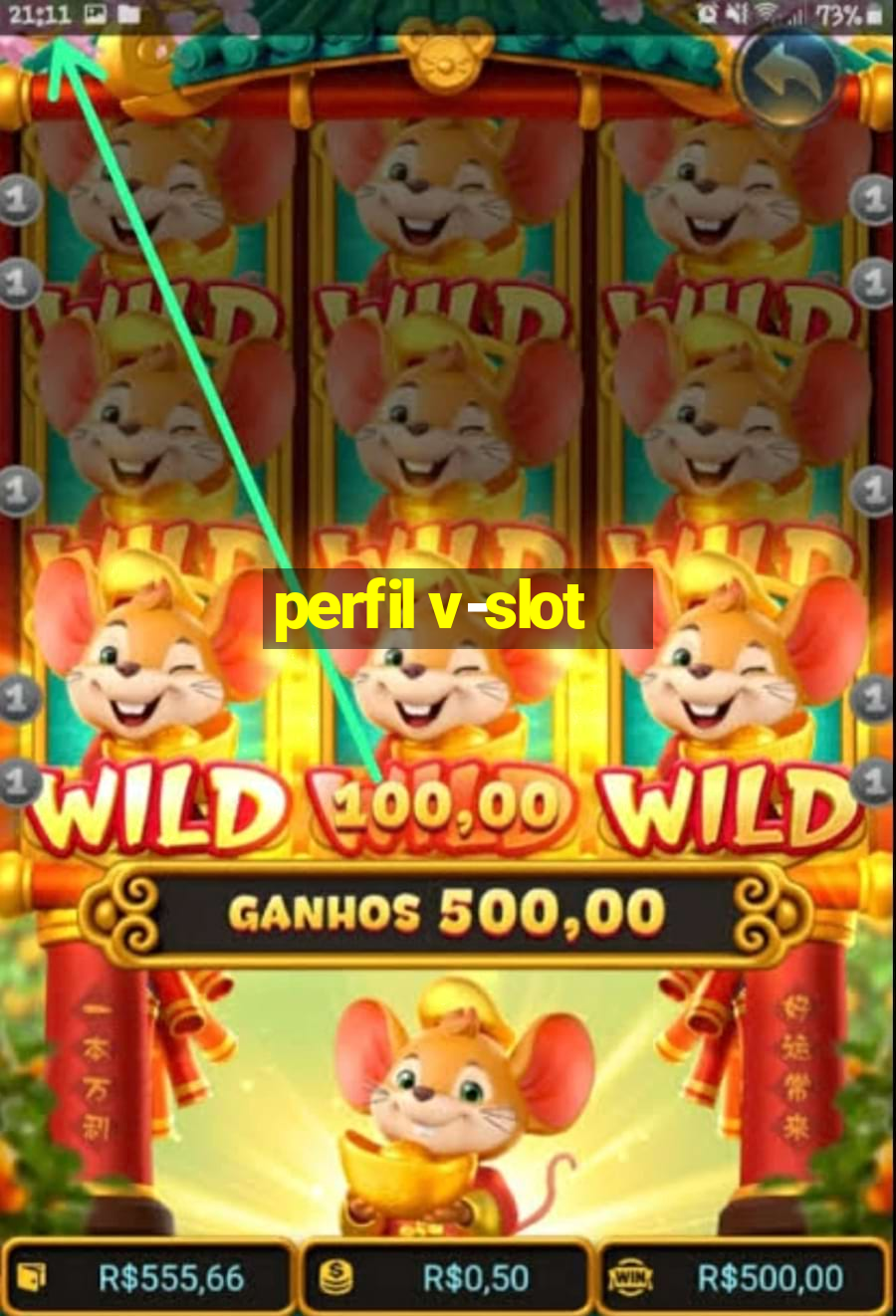 perfil v-slot