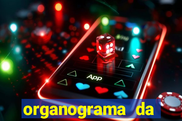 organograma da cacau show