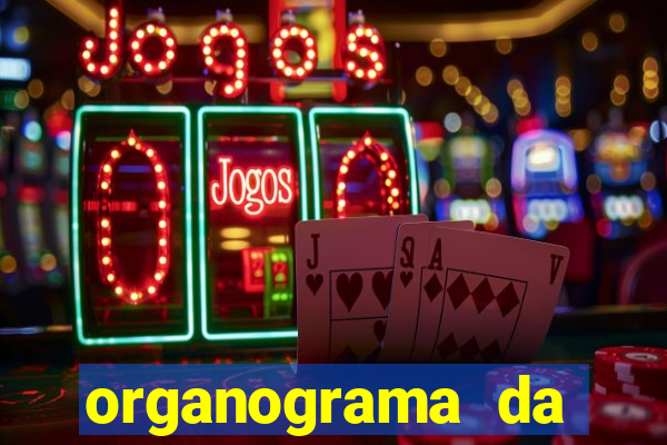 organograma da cacau show