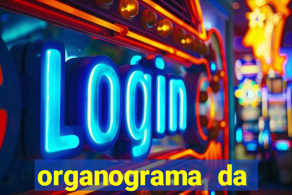 organograma da cacau show