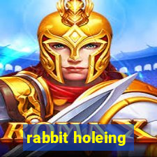 rabbit holeing