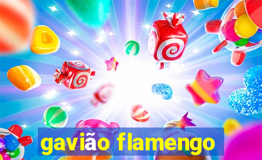 gavião flamengo