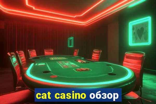 cat casino обзор