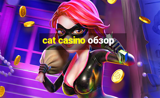 cat casino обзор