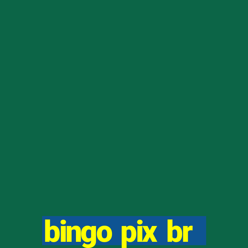 bingo pix br