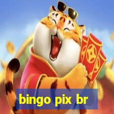 bingo pix br