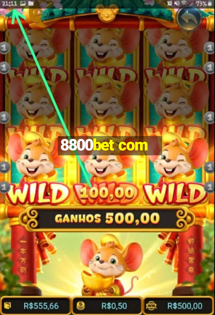 8800bet com