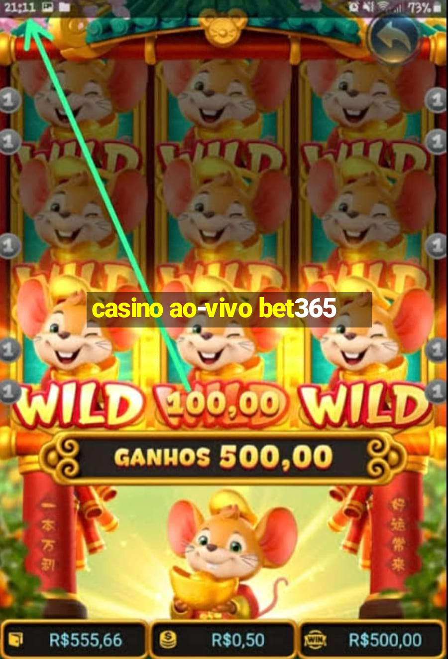 casino ao-vivo bet365