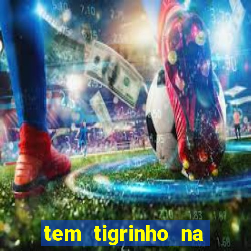 tem tigrinho na bet 365