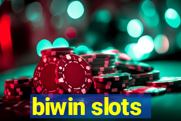 biwin slots