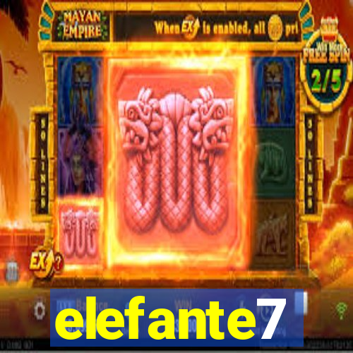 elefante7