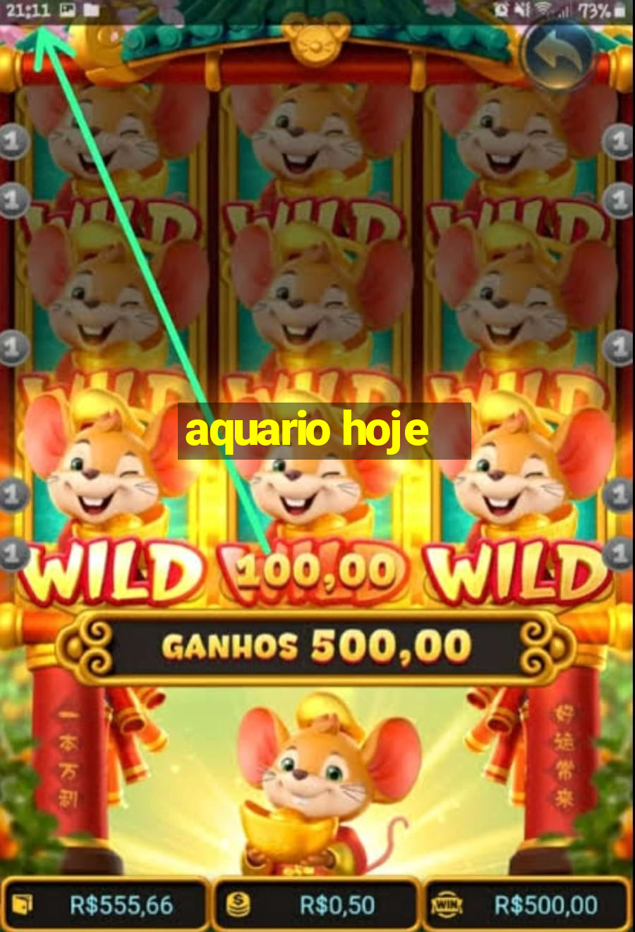 aquario hoje