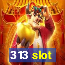 313 slot