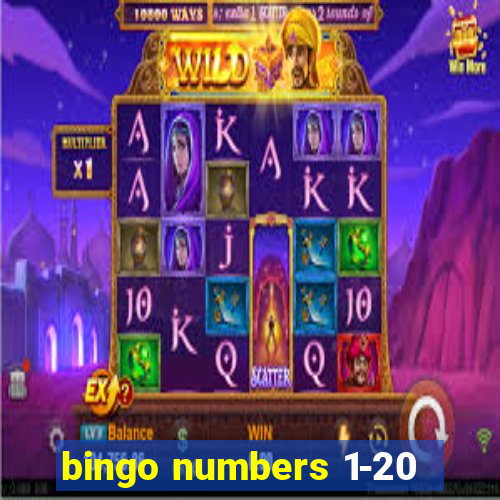 bingo numbers 1-20