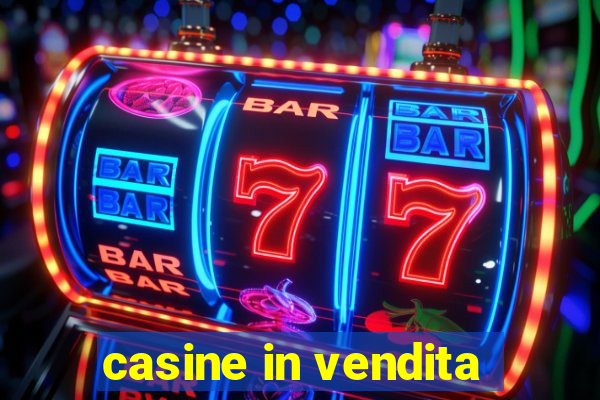 casine in vendita