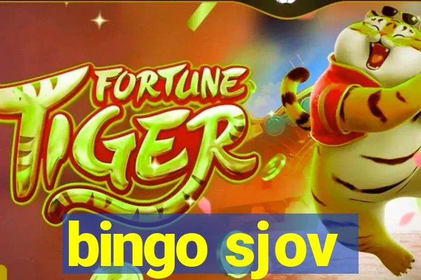 bingo sjov