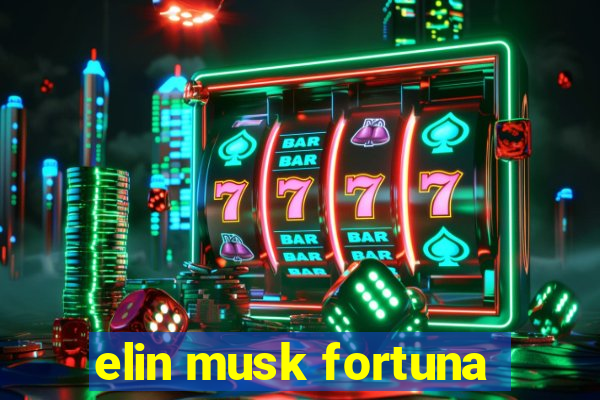 elin musk fortuna