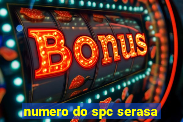 numero do spc serasa