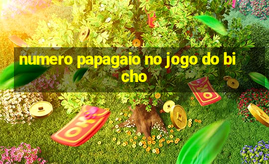 numero papagaio no jogo do bicho