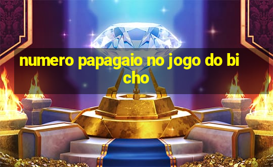 numero papagaio no jogo do bicho