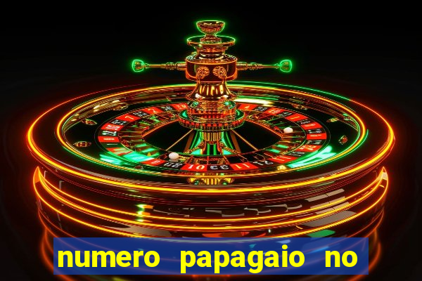 numero papagaio no jogo do bicho