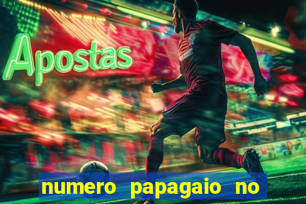 numero papagaio no jogo do bicho