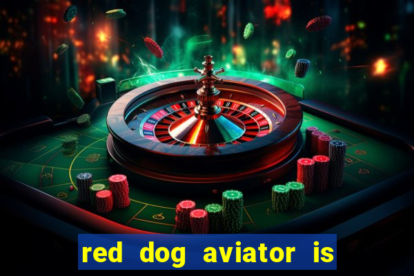 red dog aviator is real or fake