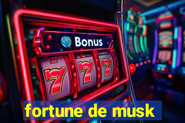 fortune de musk