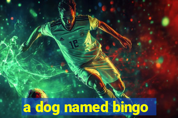 a dog named bingo