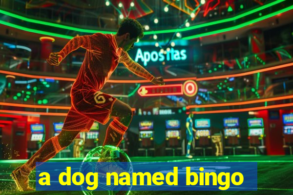 a dog named bingo