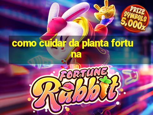 como cuidar da planta fortuna