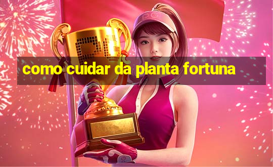 como cuidar da planta fortuna