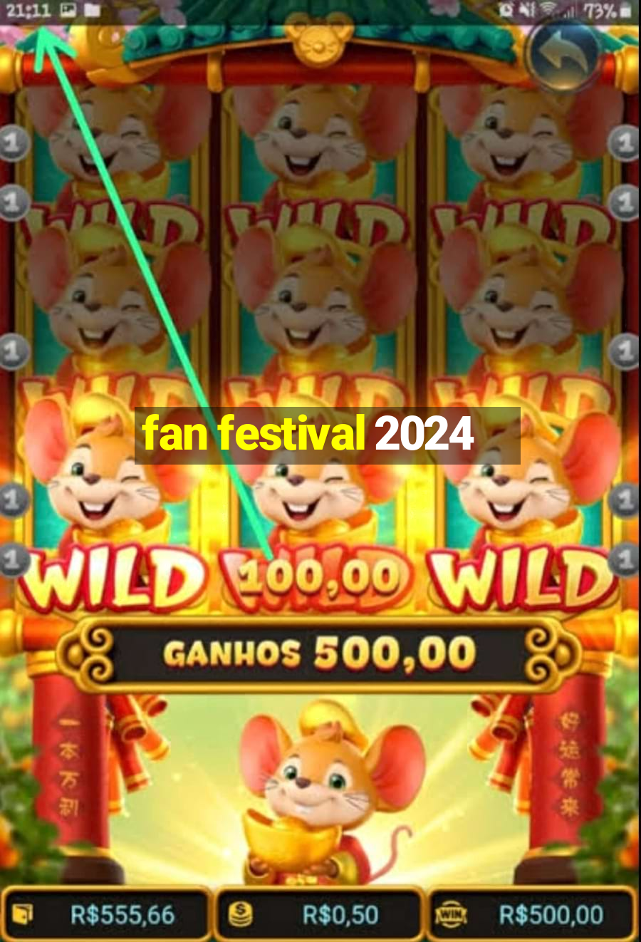 fan festival 2024