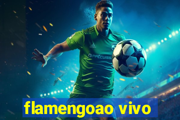 flamengoao vivo