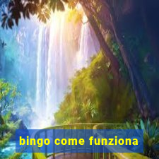 bingo come funziona