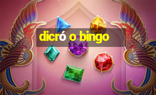 dicró o bingo