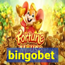 bingobet