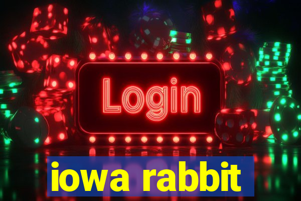 iowa rabbit