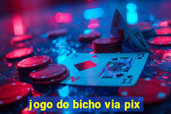 jogo do bicho via pix