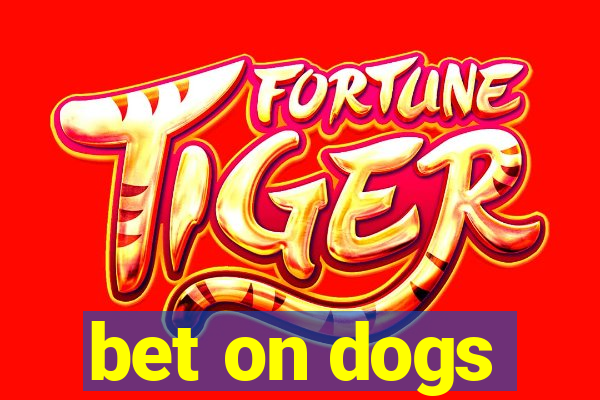 bet on dogs