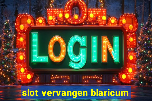 slot vervangen blaricum